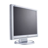 Philips 19-inch LCD-monitor (190S5FS)